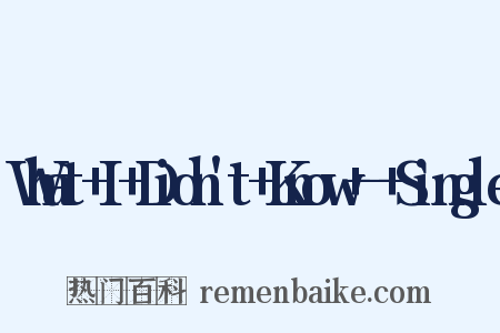 What+I+Didn't+Know+-+Single是什么意思的图片